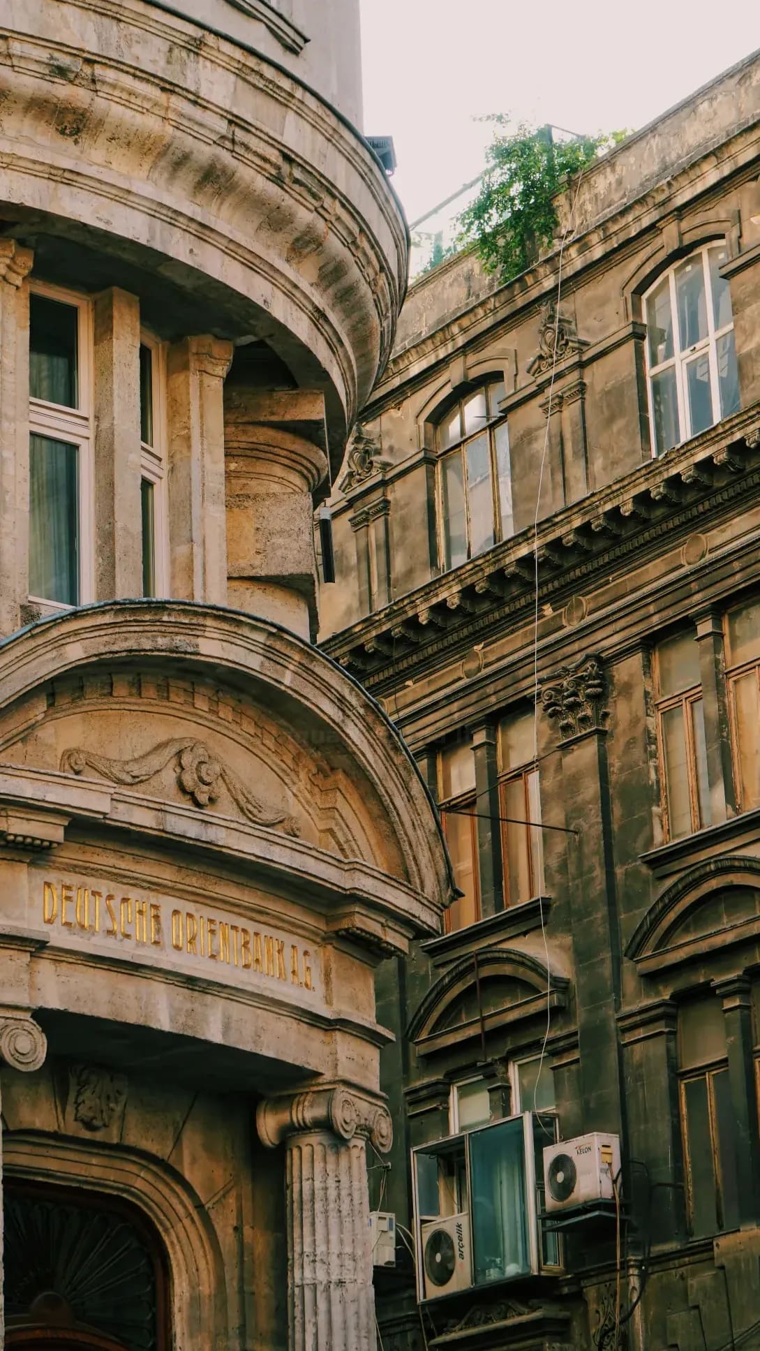 Lingua Georgia Italia 1